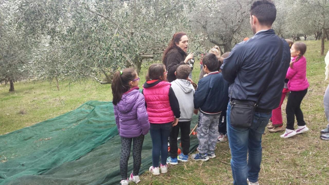 Società Agricola F.lli Angelucci Cannara Exterior foto